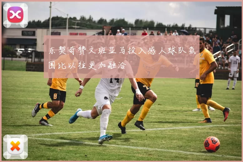 东契奇赞文班亚马投入感人球队氛围比以往更加融洽
